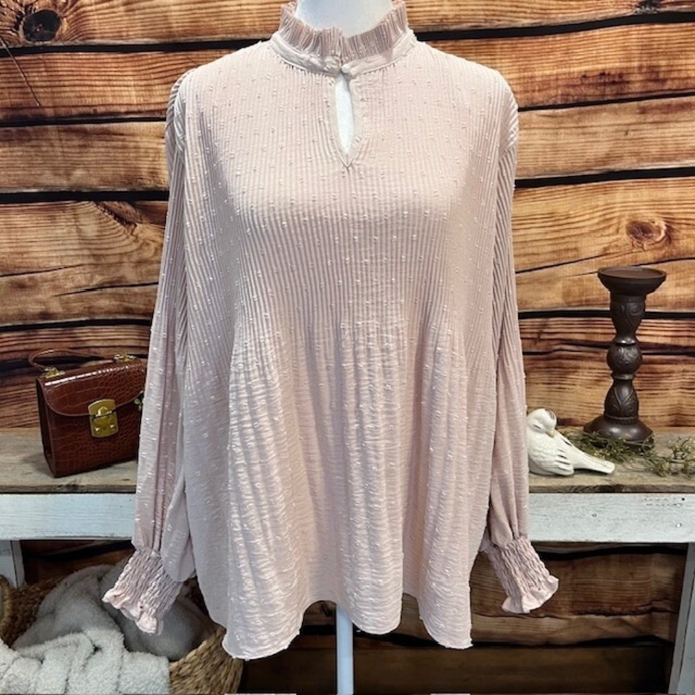 Cactus‎ & Pearl Pink Accordion Long Sleeve Blouse Womens Size XL